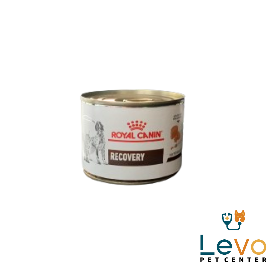 Royal Canin Recovery Wet